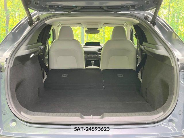 Mazda CX-30 2020-02 8244965-9
