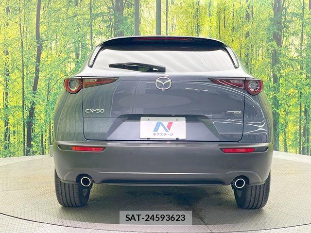 Mazda CX-30 2020-02 8244965-14