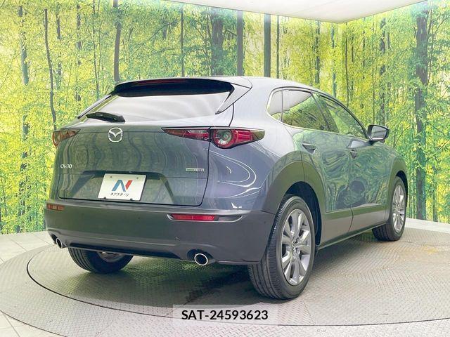 Mazda CX-30 2020-02 8244965-16
