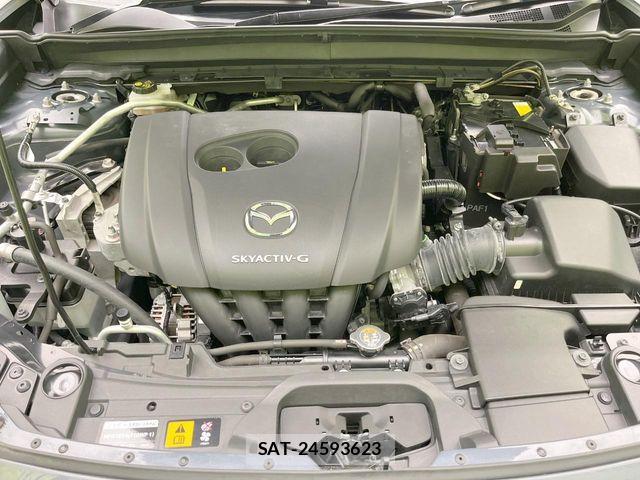 Mazda CX-30 2020-02 8244965-17