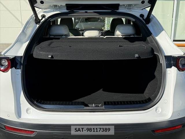 Mazda CX-30 2020-03 8244958-19