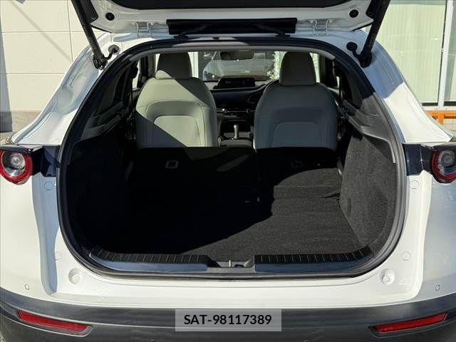 Mazda CX-30 2020-03 8244958-20