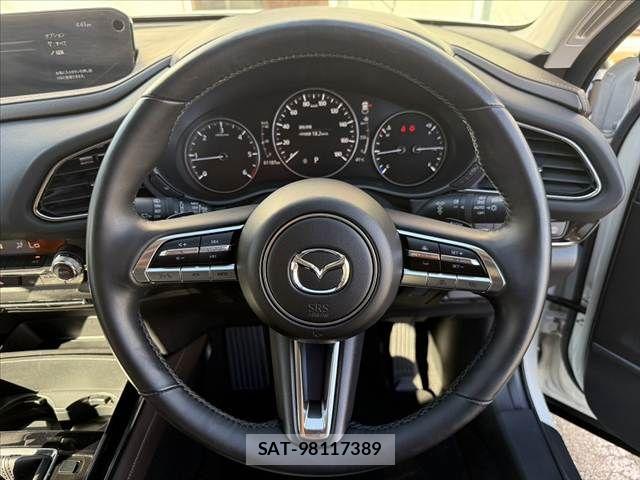 Mazda CX-30 2020-03 8244958-25