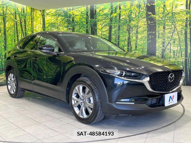 Mazda CX-30 2020-10 8244967-15