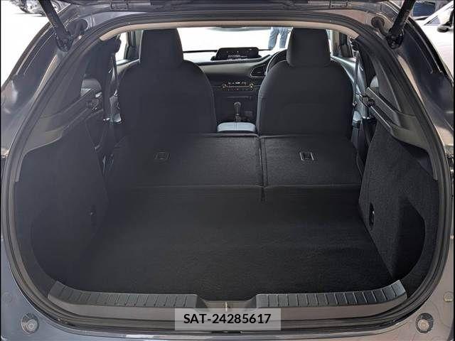 Mazda CX-30 2019-12 8244964-12