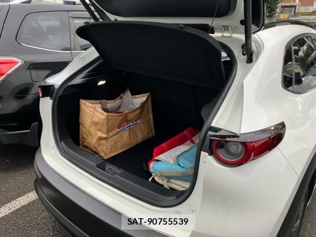 Mazda CX-30 2021-01 8244963-9
