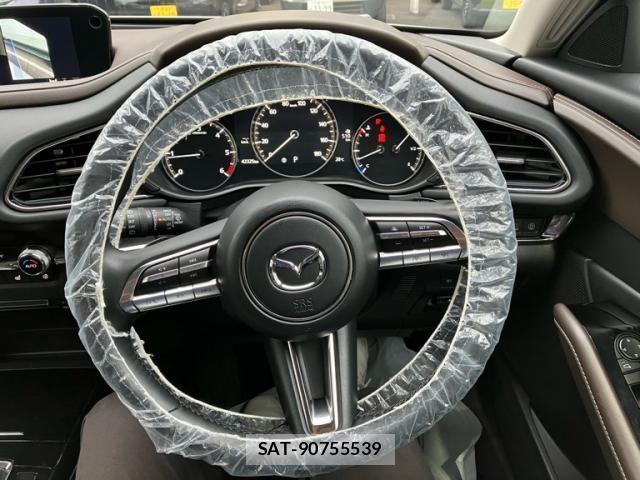 Mazda CX-30 2021-01 8244963-18