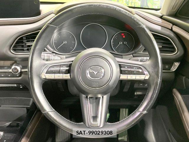 Mazda CX-30 2019-11 8244960-10