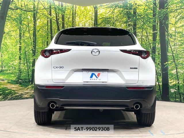 Mazda CX-30 2019-11 8244960-14