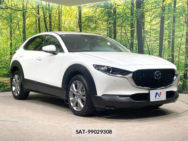 Mazda CX-30 2019-11 8244960-15