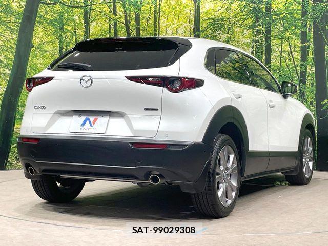 Mazda CX-30 2019-11 8244960-16