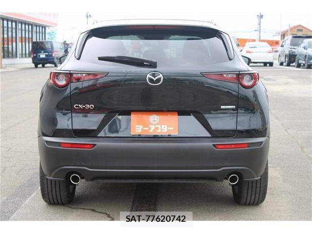 Mazda CX-30 2024-10 8244959-15