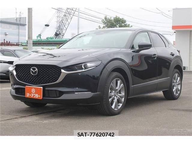 Mazda CX-30 2024-10 8244959-20