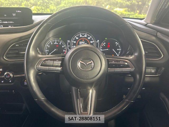 Mazda CX-30 2020-11 8244962-10