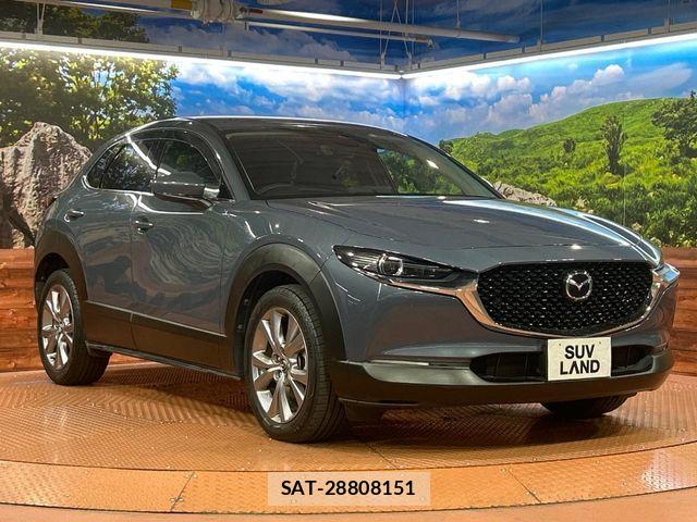 Mazda CX-30 2020-11 8244962-15
