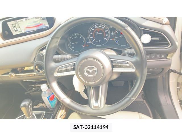 Mazda CX-30 2022-03 8314024-9