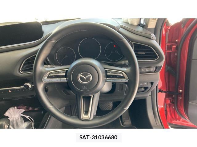 Mazda CX-30 2023-01 8314029-13