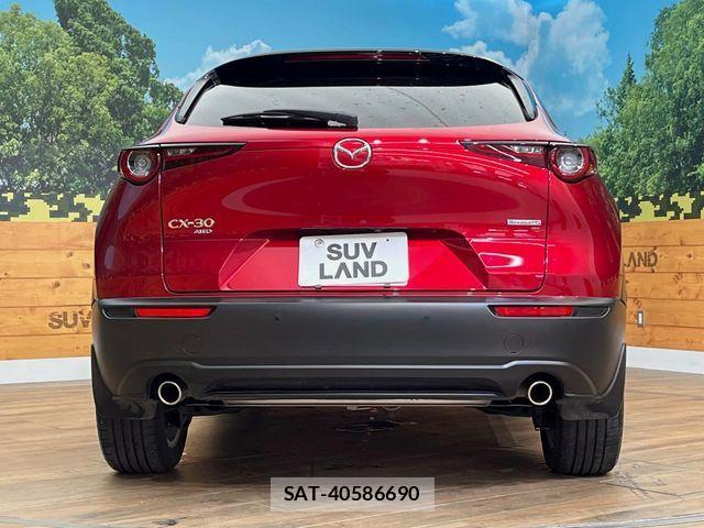 Mazda CX-30 2023-10 8314025-15