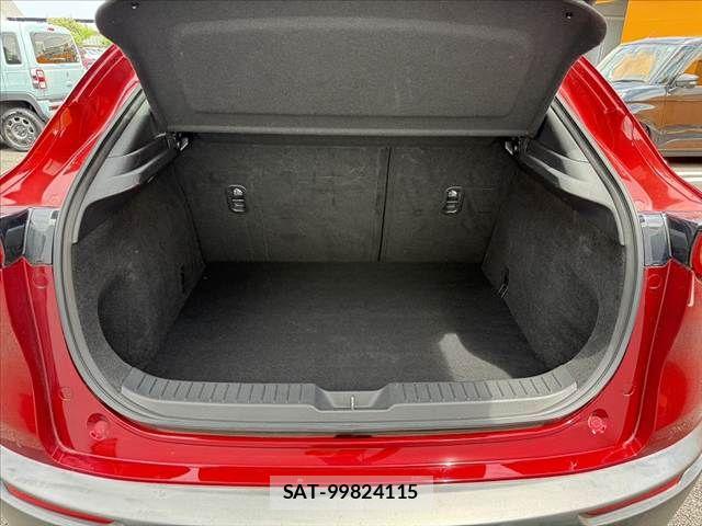 Mazda CX-30 2020-09 8314028-18