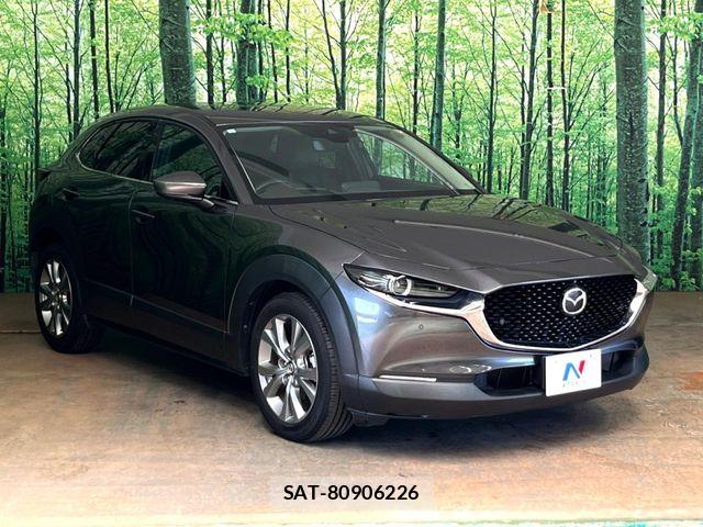 Mazda CX-30 2023-07 8335444-16