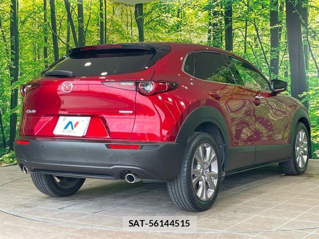 Mazda CX-30 2020-02 8335446-16