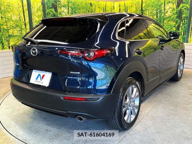 Mazda CX-30 2020-01 8365364-17