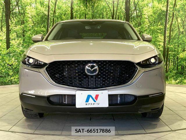 Mazda CX-30 2022-12 8365362-13