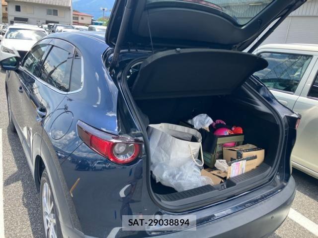 Mazda CX-30 2019-12 8365366-11
