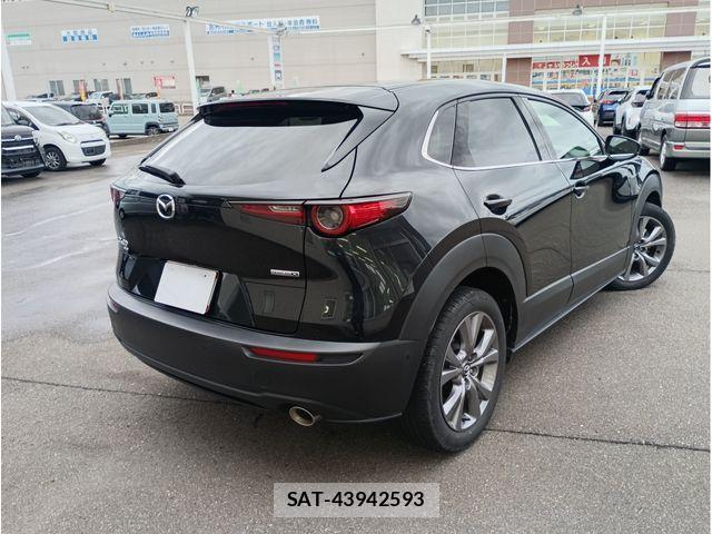 Mazda CX-30 2019-12 8411868-1