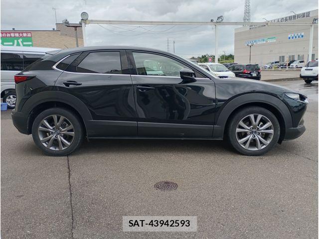 Mazda CX-30 2019-12 8411868-3