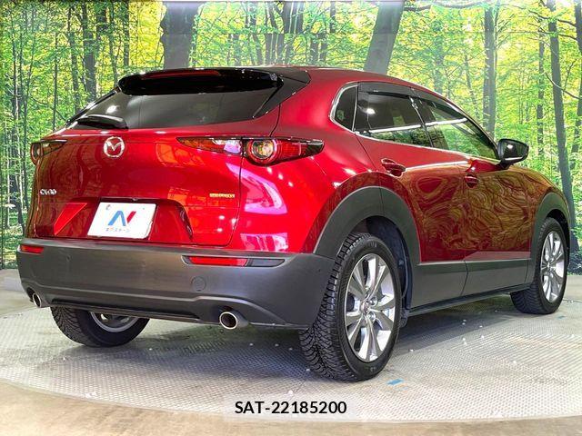 Mazda CX-30 2020-05 8457276-16