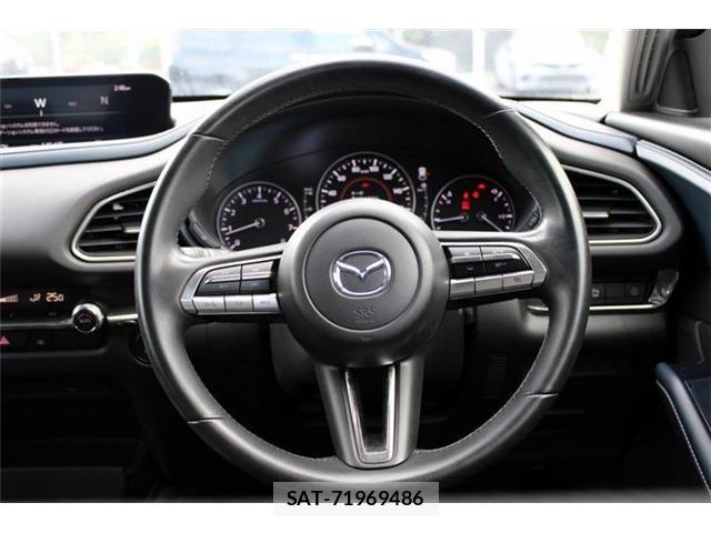 Mazda CX-30 2019-10 8485231-24