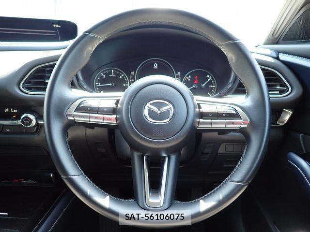 Mazda CX-30 2021-05 8485232-13