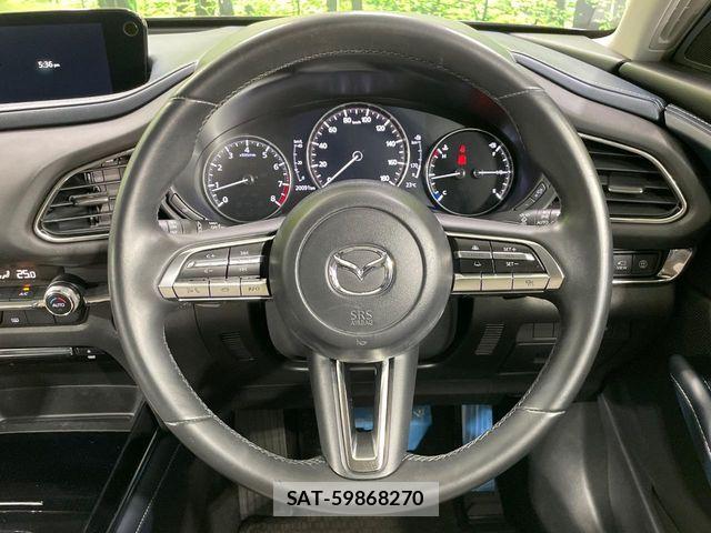 Mazda CX-30 2020-03 8524218-10