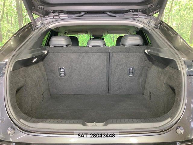 Mazda CX-30 2020-01 8524209-9