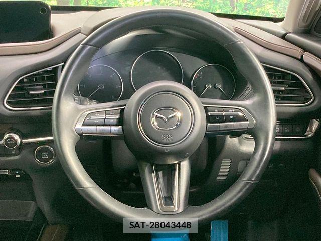 Mazda CX-30 2020-01 8524209-10