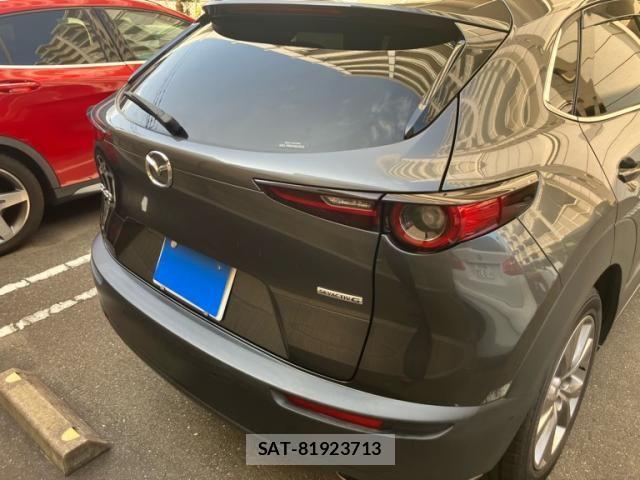 Mazda CX-30 2021-06 8561611-4