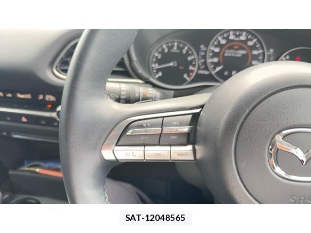 Mazda CX-30 2023-03 8561609-11