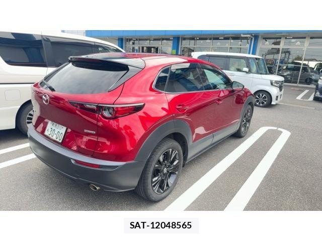Mazda CX-30 2023-03 8561609-2