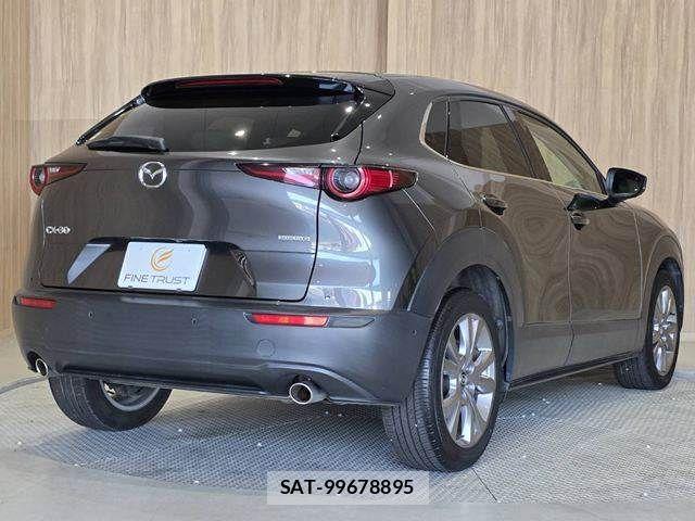 Mazda CX-30 2020-10 8626351-18