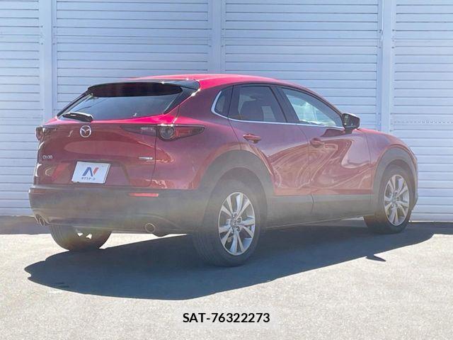 Mazda CX-30 2019-10 8626350-18