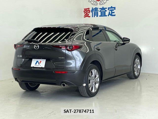 Mazda CX-30 2019-11 8666021-17