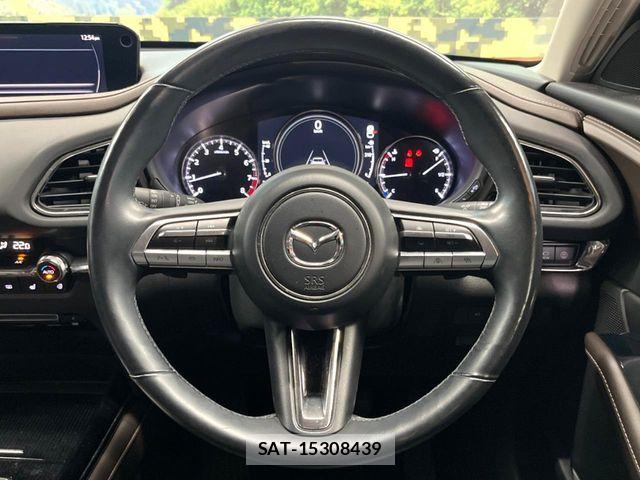 Mazda CX-30 2019-10 8658626-10