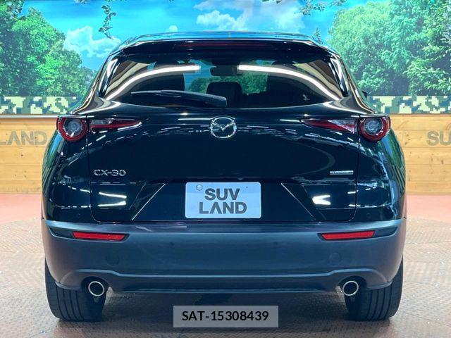 Mazda CX-30 2019-10 8658626-14