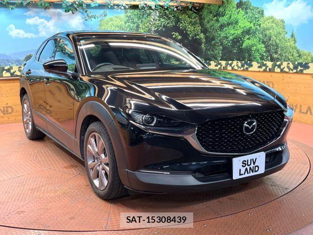 Mazda CX-30 2019-10 8658626-15