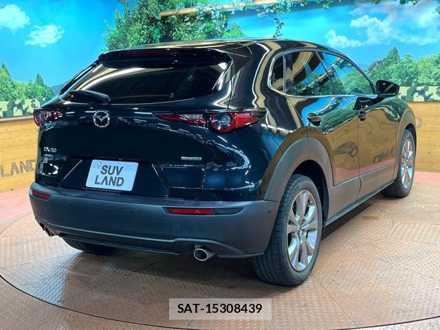 Mazda CX-30 2019-10 8658626-16