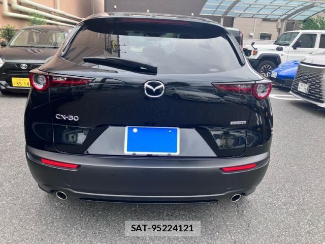 Mazda CX-30 2022-02 8666020-10