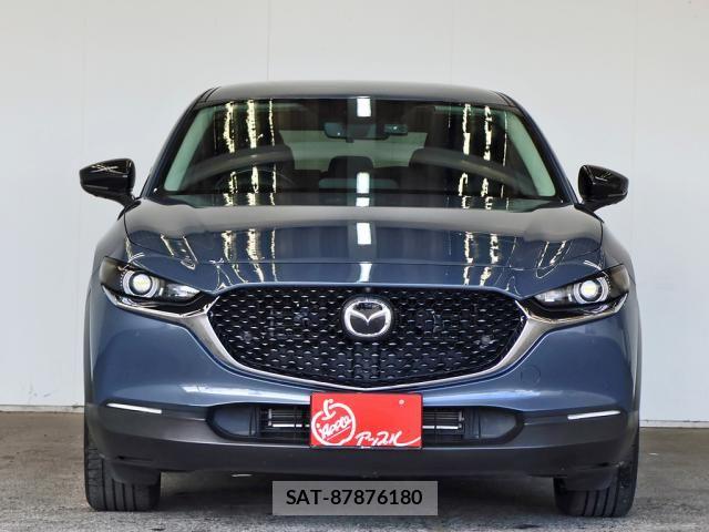 Mazda CX-30 2021-12 8666022-10