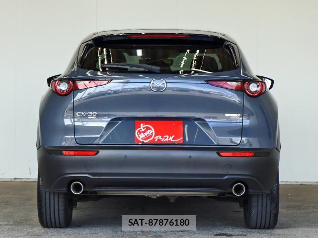 Mazda CX-30 2021-12 8666022-15
