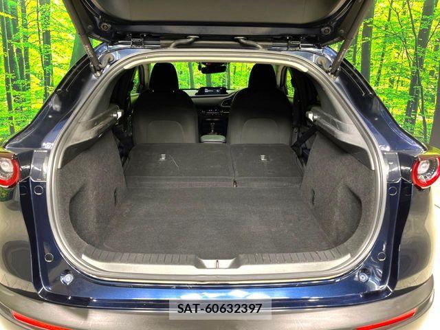 Mazda CX-30 2021-10 8685379-10